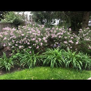 Meet your Posher, Jen